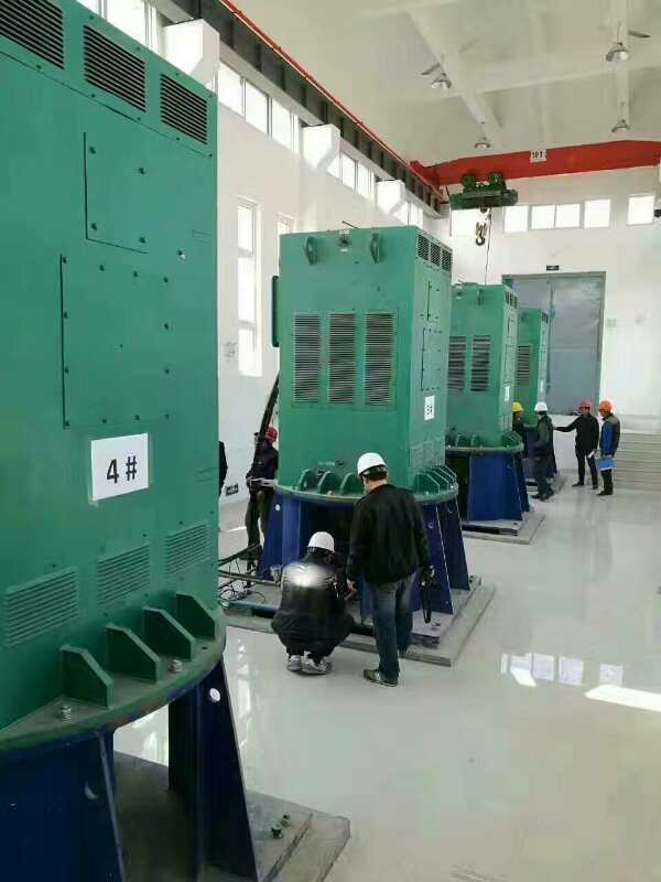 Y4505-10/220KW某污水处理厂使用我厂的立式高压电机安装现场