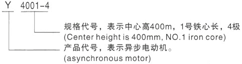 西安泰富西玛Y系列(H355-1000)高压Y4505-10/220KW三相异步电机型号说明