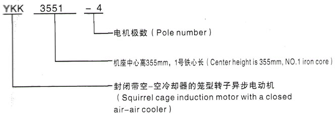 YKK系列(H355-1000)高压Y4505-10/220KW三相异步电机西安泰富西玛电机型号说明