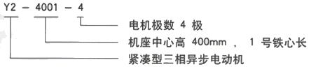 YR系列(H355-1000)高压Y4505-10/220KW三相异步电机西安西玛电机型号说明